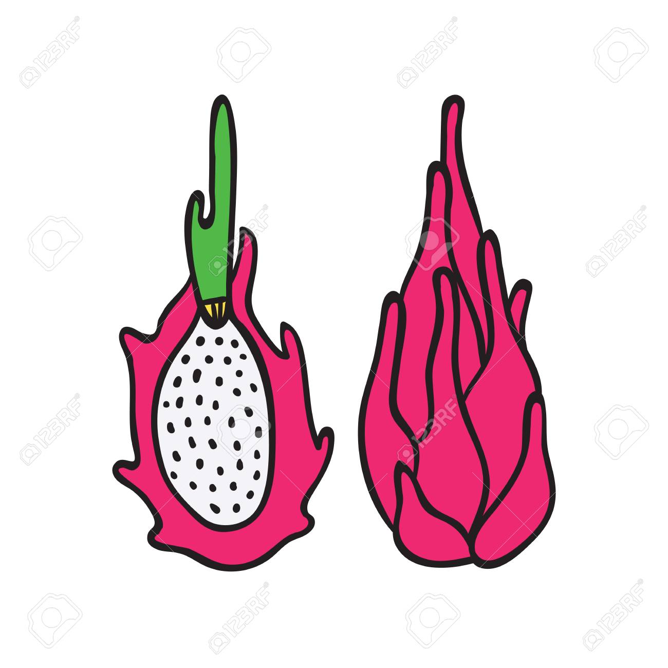Dragon fruit vector icon made in flat style  Stock Vector 