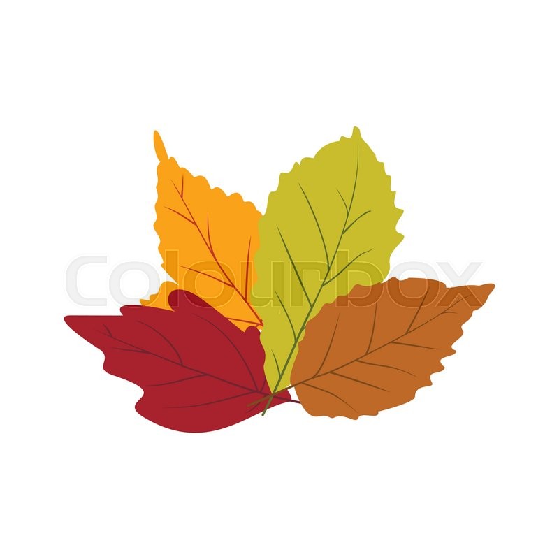 Fall leaves icon image Royalty Free Vector Image