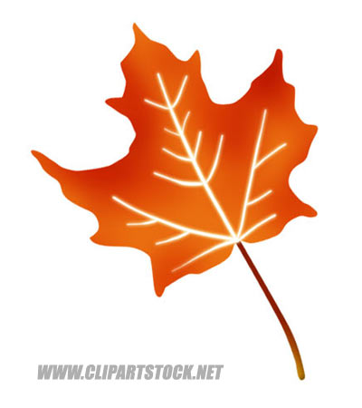Autumn, canada, fall, leaf, maple, sycamore, tree icon | Icon 