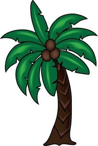 palm-tree # 219008
