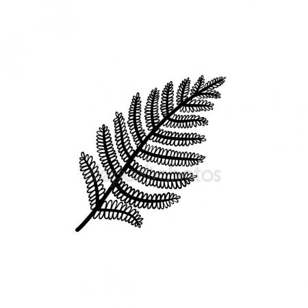 Fern.house plant realistic icon for interior decoration 