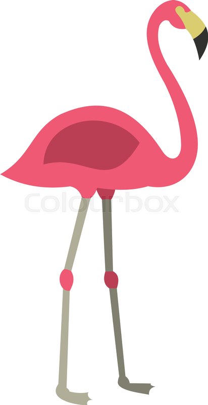 Vector flamingo icon. Vector illustration of a flamingo icon 