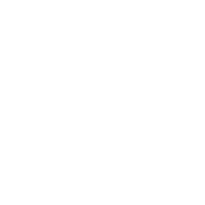 Ammonite, fossil Icon Free of Game Icons