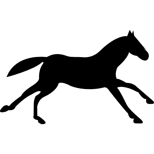 File:Flat racing clipart.svg - Wikimedia Commons