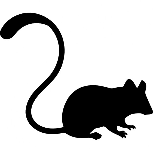Caribbean blue mouse icon - Free caribbean blue computer hardware 