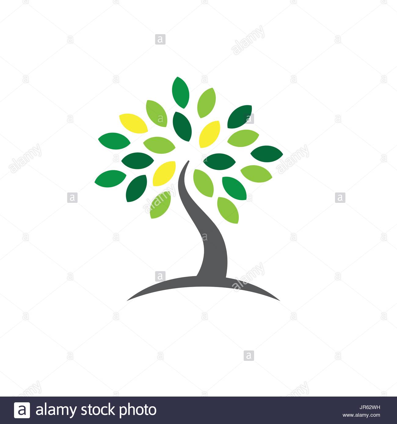 Dynasty, genealogical, genealogy, hierarchy, parents tree 