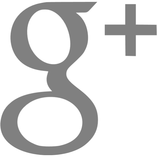 File:Google plus icon.svg - Wikimedia Commons