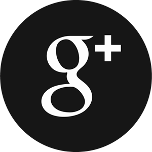 Google Plus Icon | Endless Icons