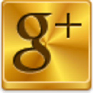 Google Plus Square Logo icon | IconOrbit.com