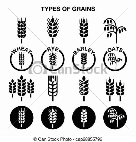nature, Wheat Plant, Wheat, Grain, food, Wheat Grain, grains icon