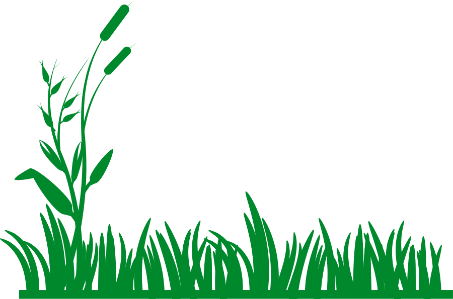 Plants Grass Icon | iOS 7 Iconset 