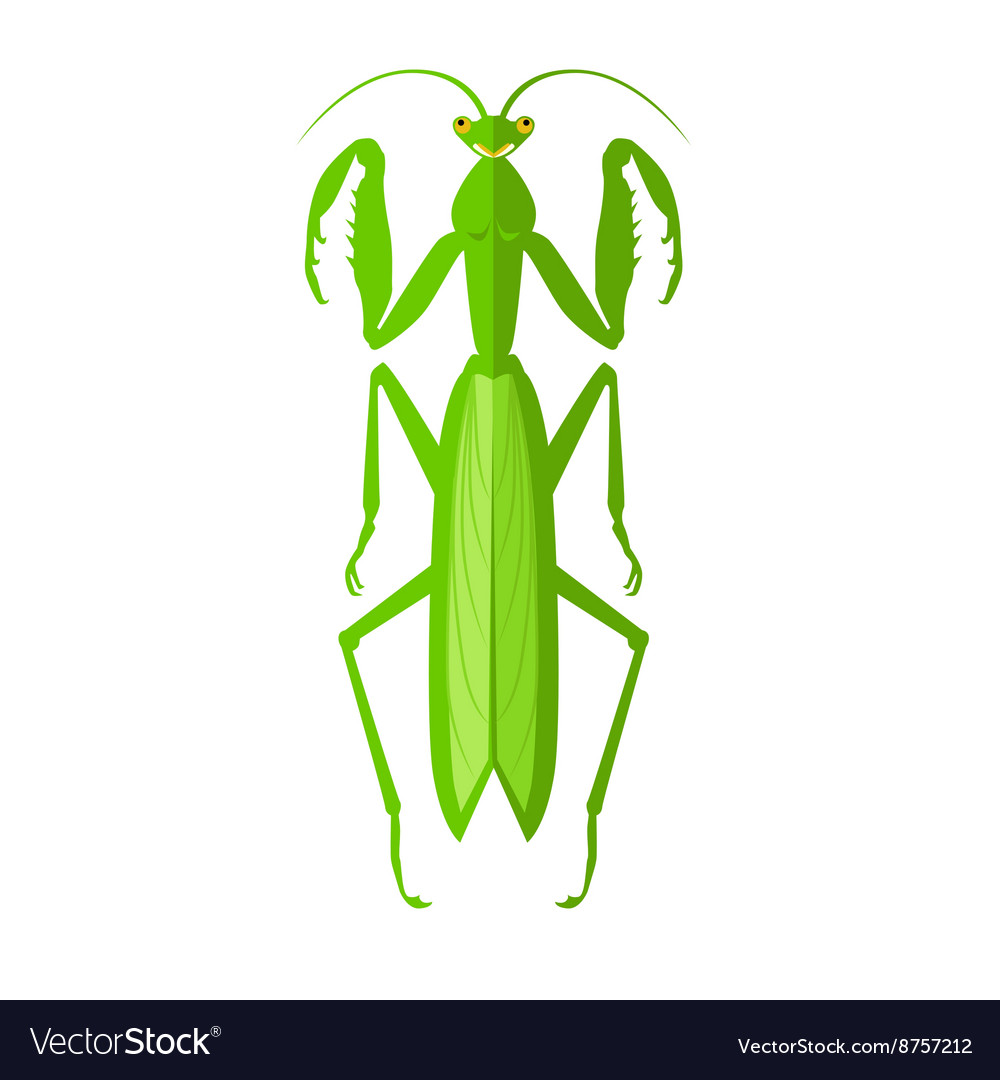 Grasshopper insect side view shape - Free animals icons