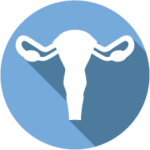 Gynecology icon Royalty Free Vector Image - VectorStock
