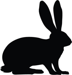 hare icon black vector on white background  Stock Vector 