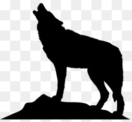 black-norwegian-elkhound # 221824