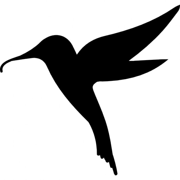 Hummingbird Icon Vector, Filled Flat Sign, Solid Pictogram 