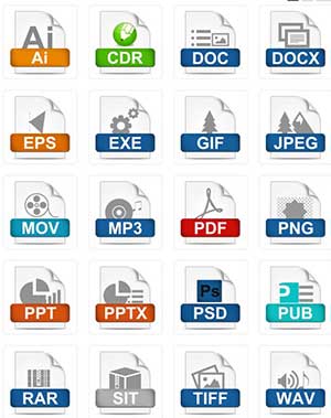 Generic File Format Icon - 9748 - Dryicons