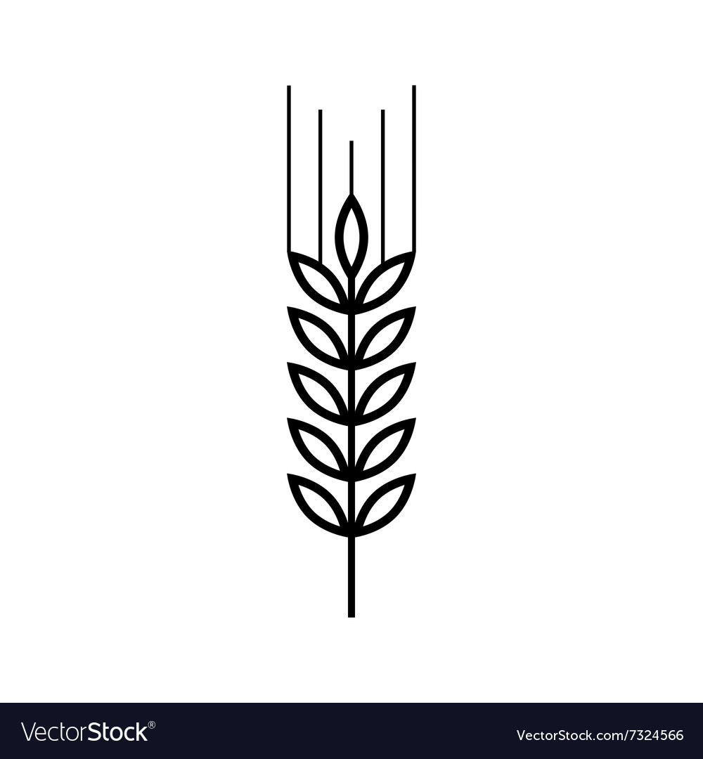 Crop, grain, hops, malt, oat, plant, wheat icon | Icon search engine