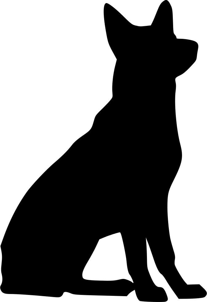 black-norwegian-elkhound # 144572