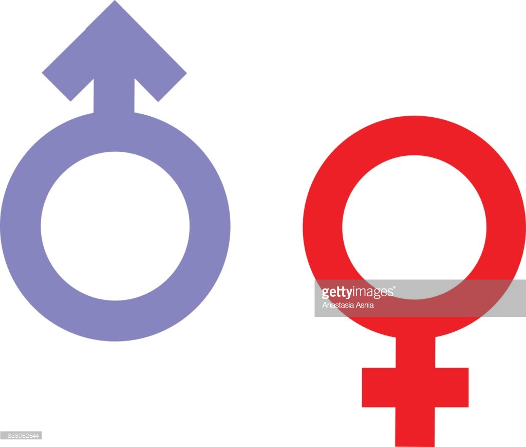 Gender inequality and equality icon symbol male Vector Image