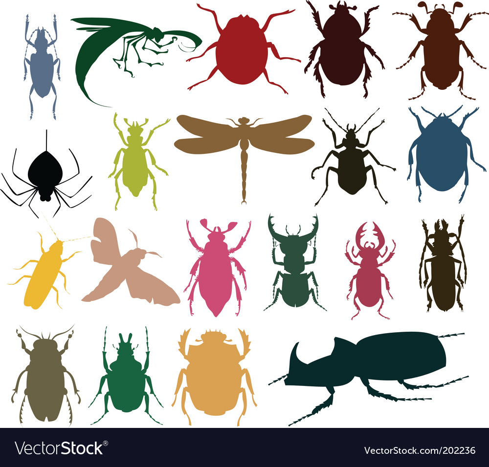 Bug, danger, insect, safety, security, tick, virus icon | Icon 