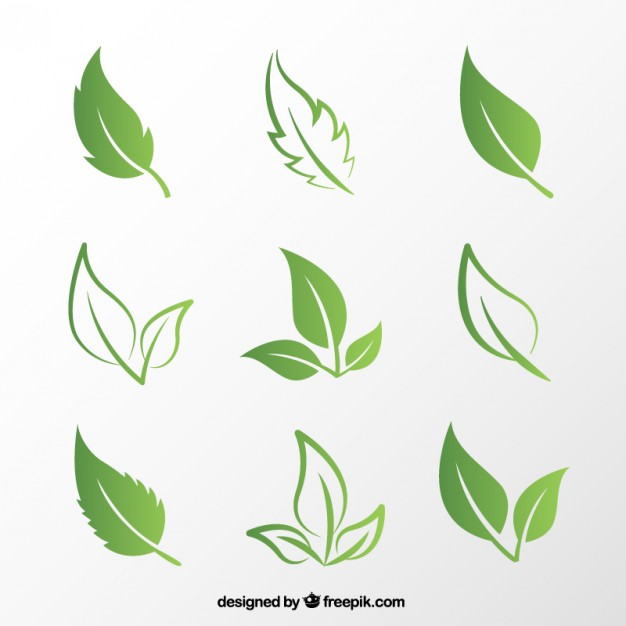 Green Leaf Icons Free vector in Adobe Illustrator ai ( .AI 