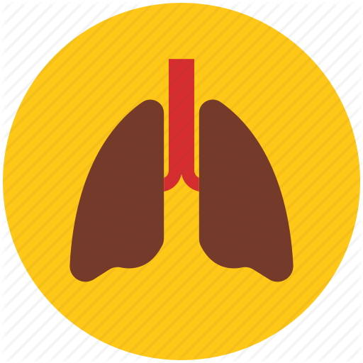 Free vector graphic: Lungs, Lung Icon, Respiration - Free Image on 