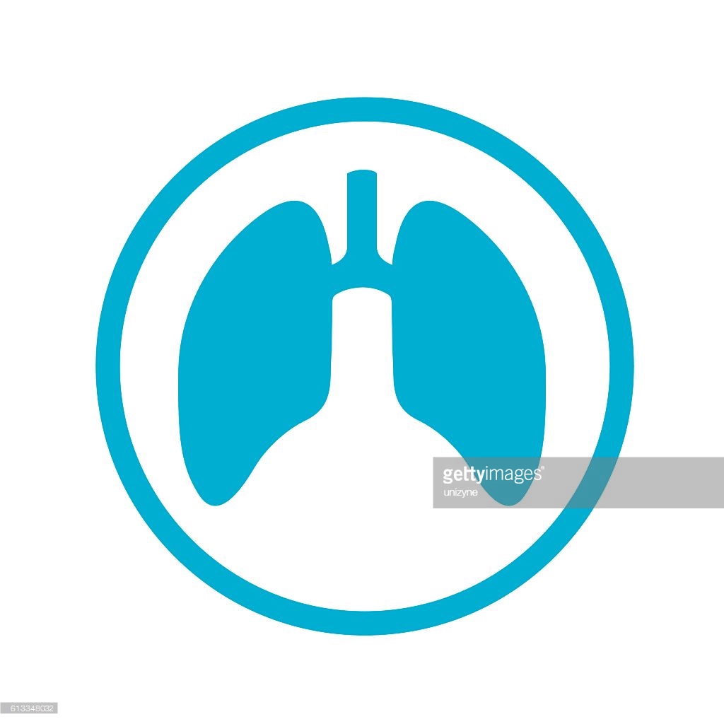 Anatomy, body lungs, body organ, breathe, lungs, pulmonology icon 