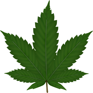 Cannabis, drugs, grass, hemp, leaf, marijuana, natural, nature 