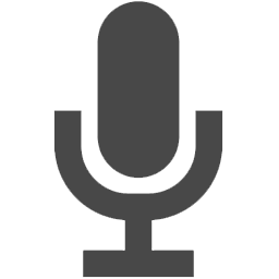 The mic icon Microphone symbol Flat Royalty Free Vector