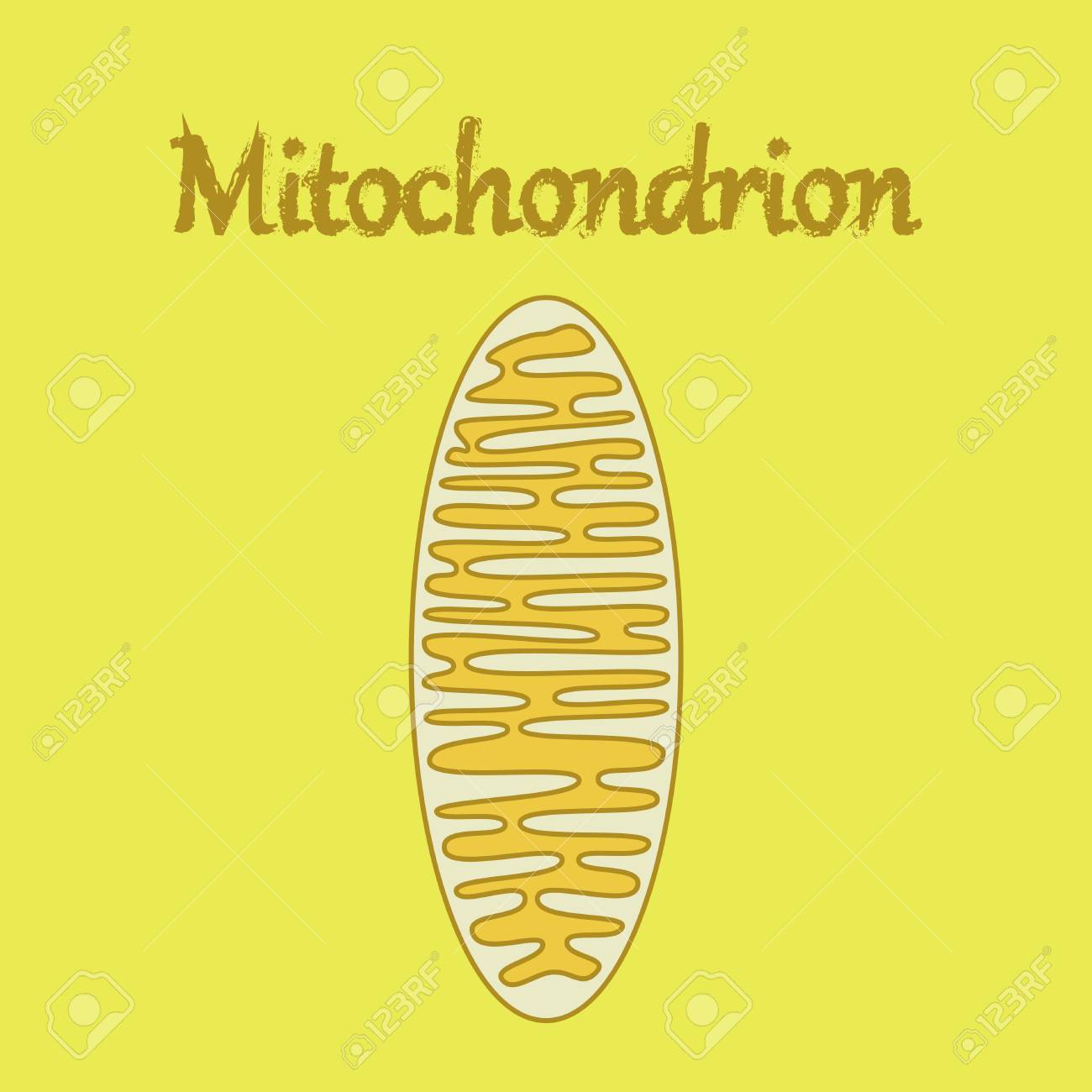 Mitochondria icons | Noun Project