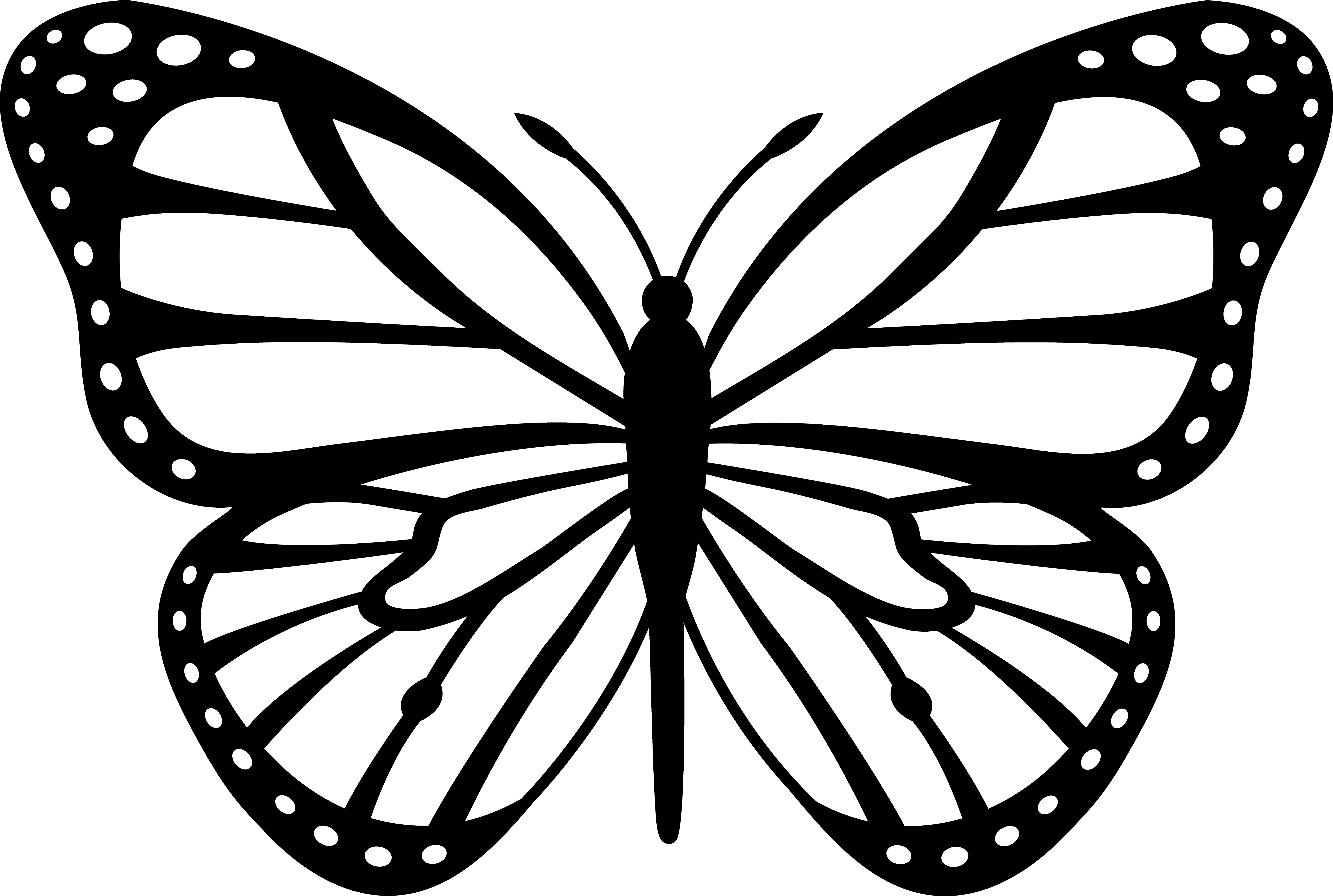 Monarch butterflies Icons PNG - Free PNG and Icons Downloads