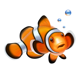 Clown Fish Flat Line Icon Stock Vector 556144159 - 