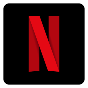 Netflix Folder Icon by mikromike 