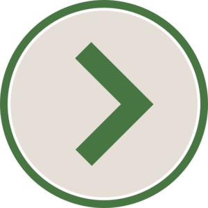 Arrow, browser, go, navigation, next, page, right icon | Icon 