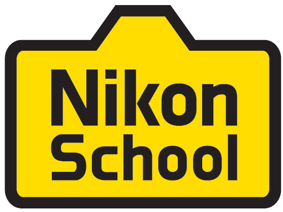 Nikon logo icon button Stock Photo, Royalty Free Image: 77935763 