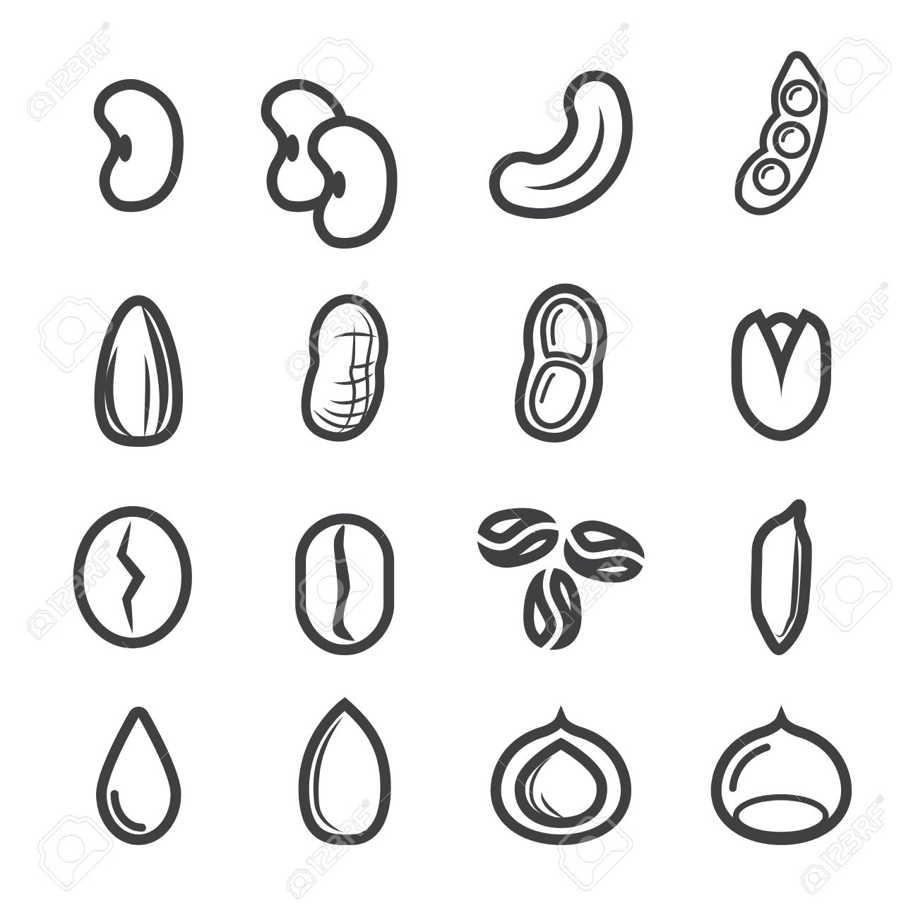 Nuts Icon - Food  Drinks Icons in SVG and PNG - Icon Library