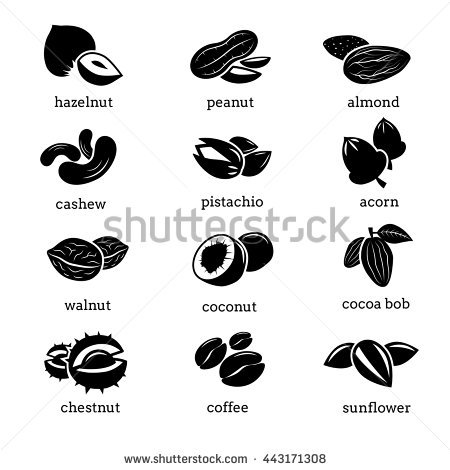 Vector nuts icon with leaves | Stock Vector | Colourbox