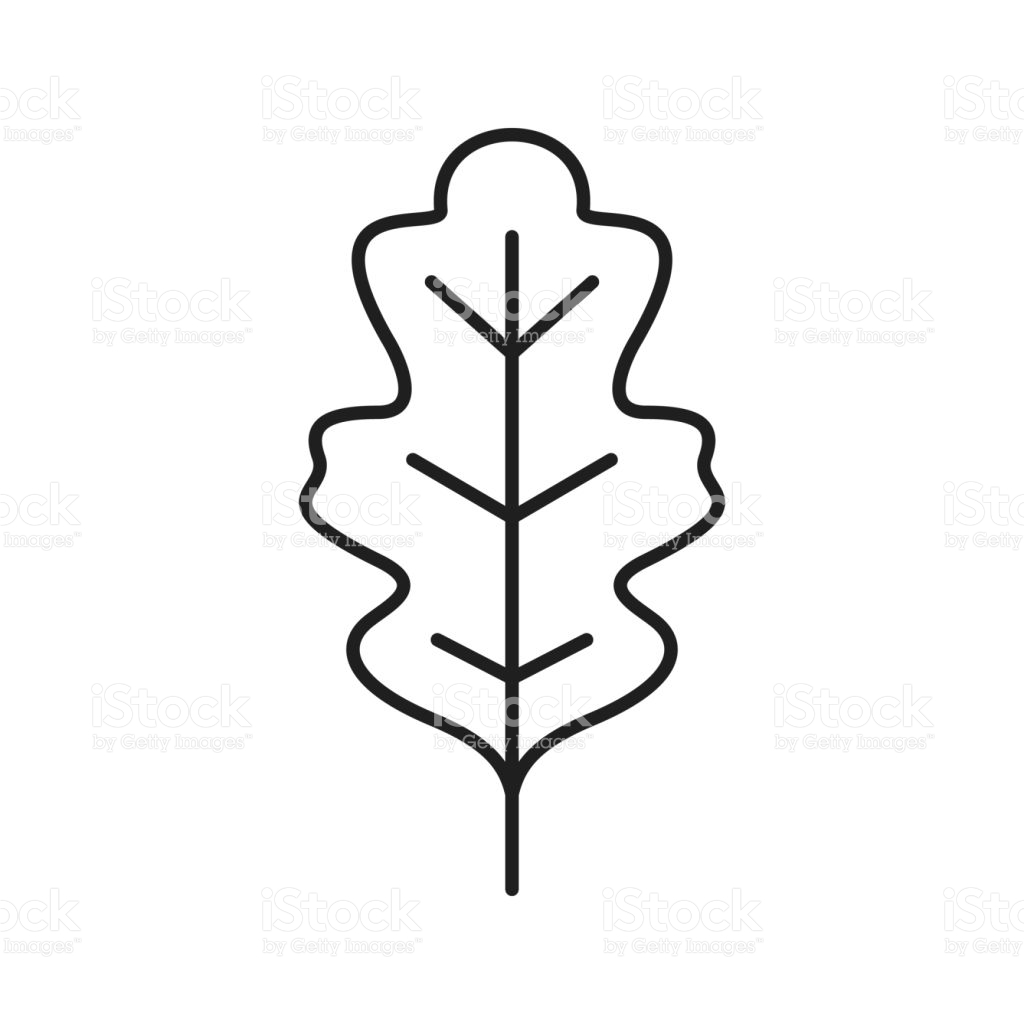 Plants Oak Leaf icon free download as PNG and ICO formats 