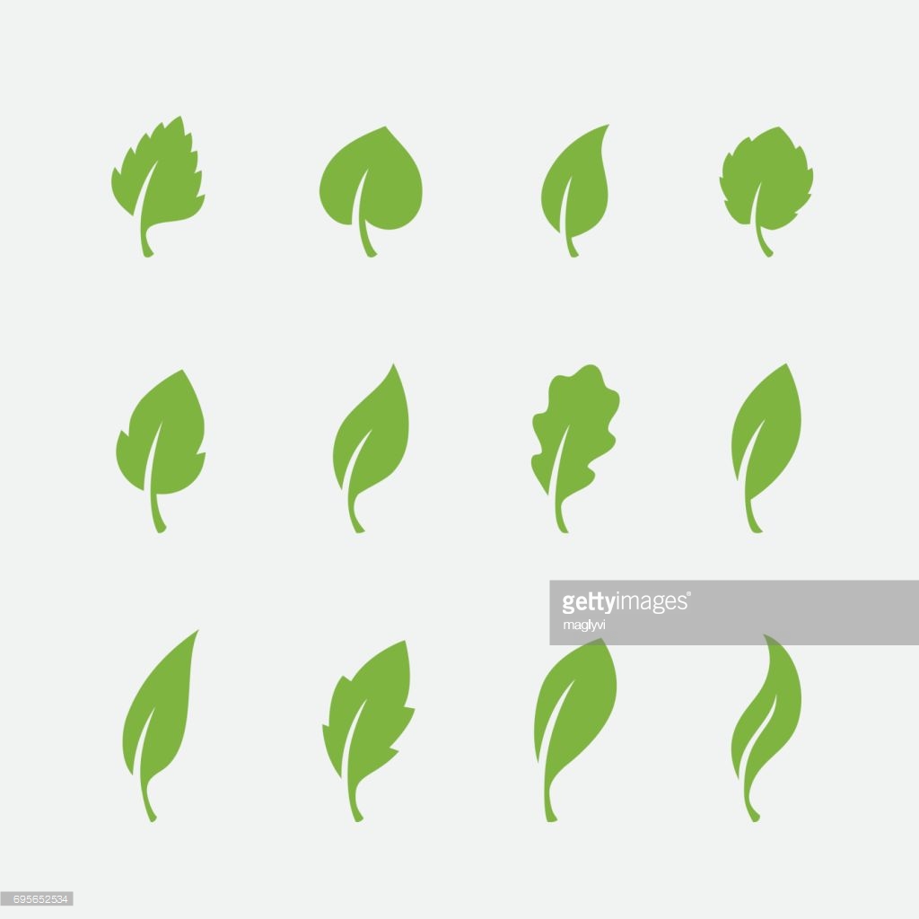 Oak-leaf icons | Noun Project