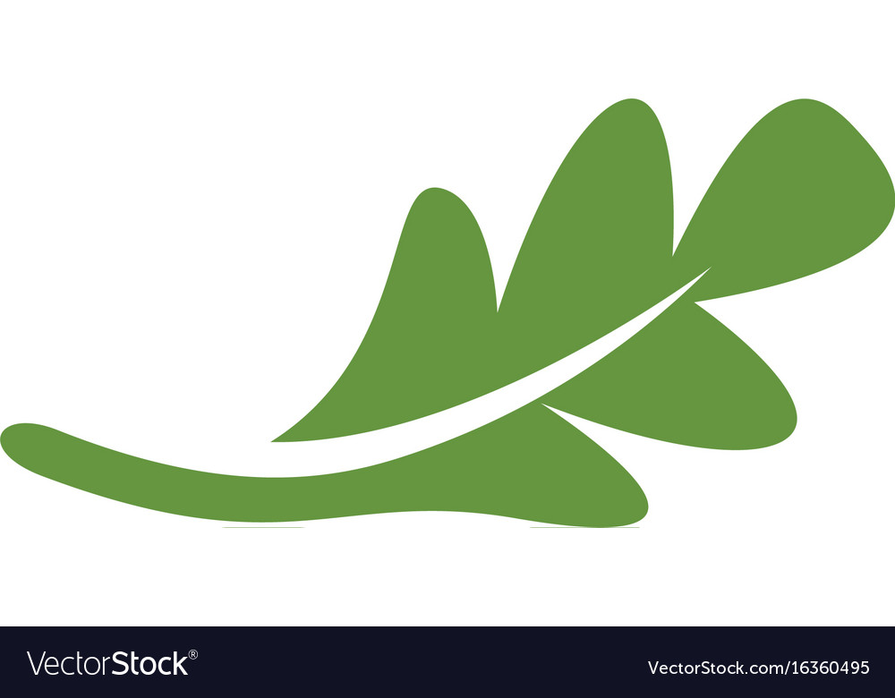 oak, Leaf icon