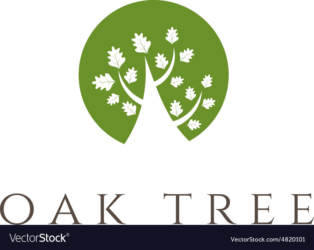 Branch, leaves, nature, oak, tree icon | Icon search engine