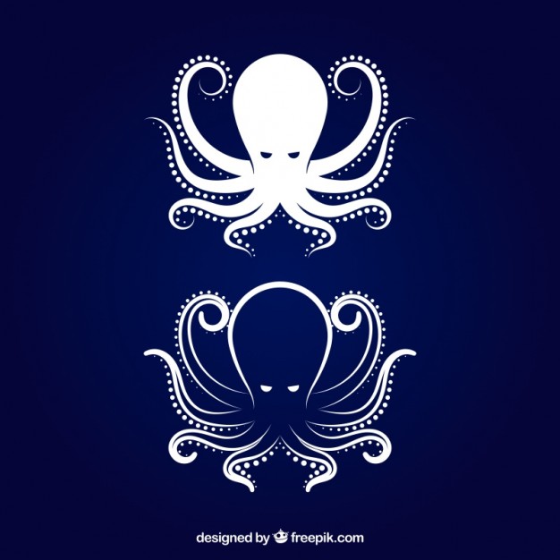 Octopus icon. Flat illustration of octopus, vector icon for web 