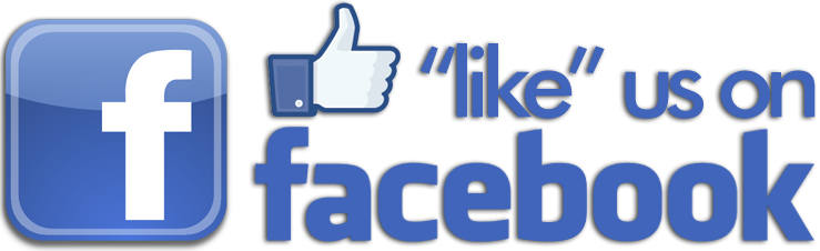 Facebooks Like Icon Drives Traffic to Your Website  Ecreative 