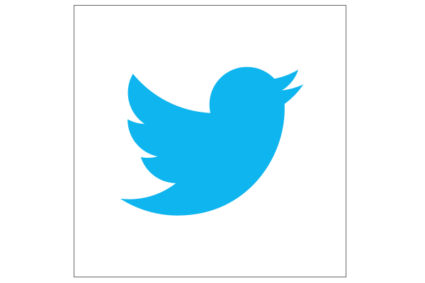 Twitters New Logo: The Geometry and Evolution of Our Favorite 