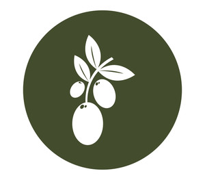 Olive-branch icons | Noun Project