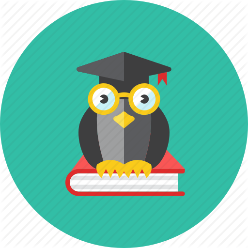 Owl flat icon - Transparent PNG  SVG vector