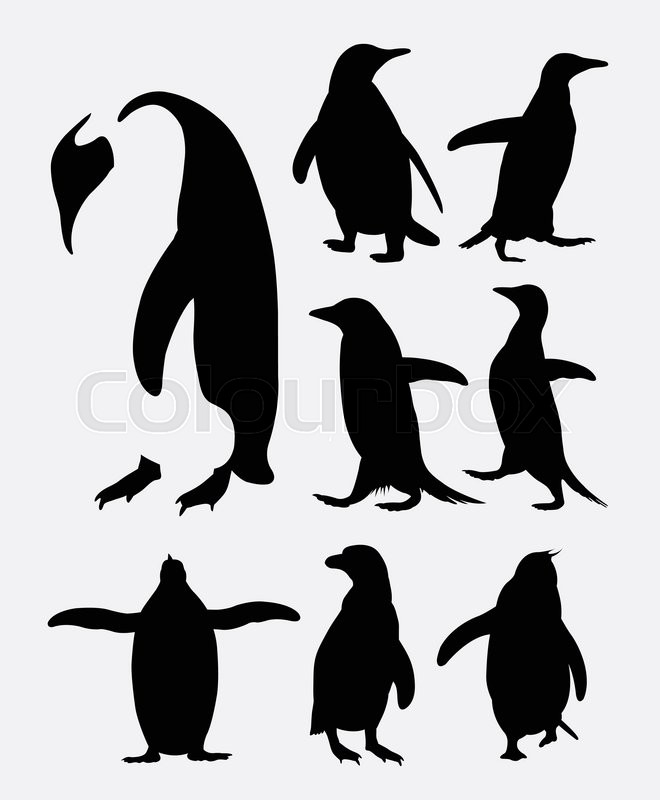 Cute penguin icon Royalty Free Vector Image - VectorStock