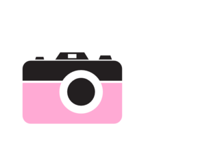 Free pink slr camera icon - Download pink slr camera icon