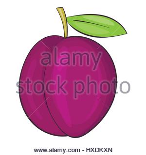 Plum Icon - Agriculture  Farming Icons in SVG and PNG - Icon Library